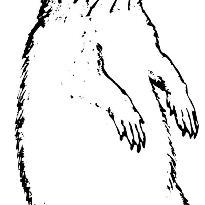 Gopher Thumbnail