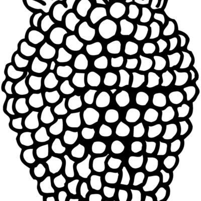 Fruit Thumbnail